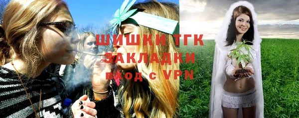тгк Алзамай