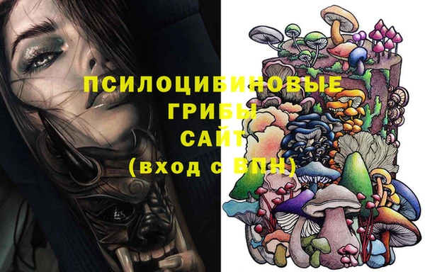 тгк Алзамай